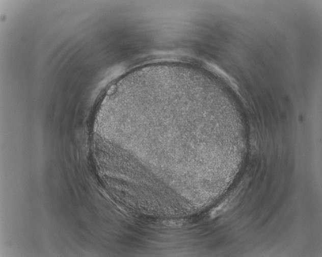 X0000076431411200610271722