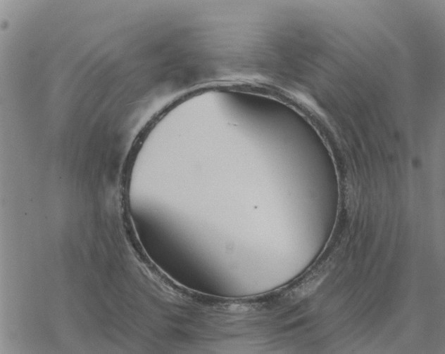 X0000076431412200610271722