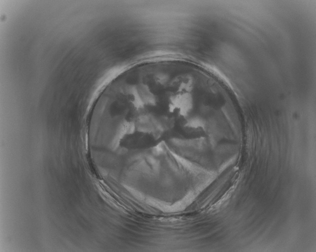 X0000076431413200610271722