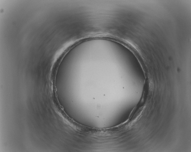 X0000076431414200610271722