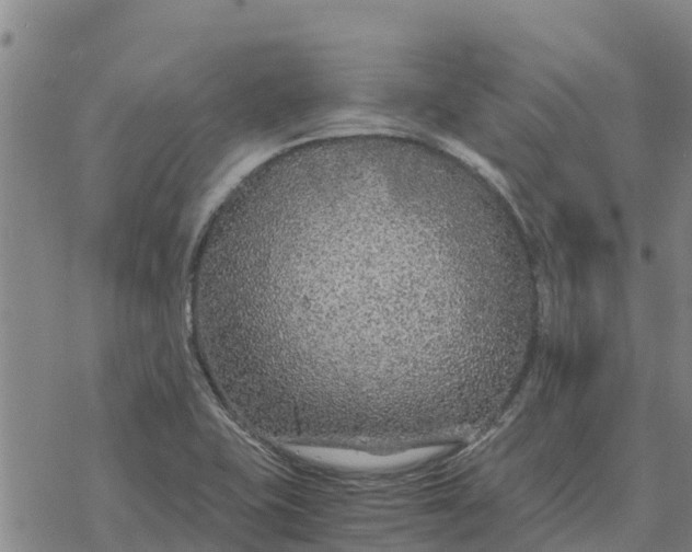 X0000076431415200610271722