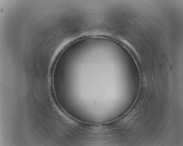 X0000076431416200610271722