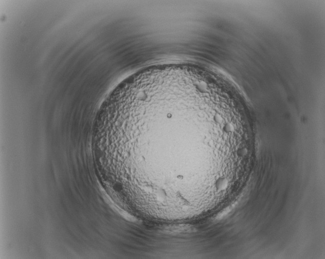 X0000076431417200610271722