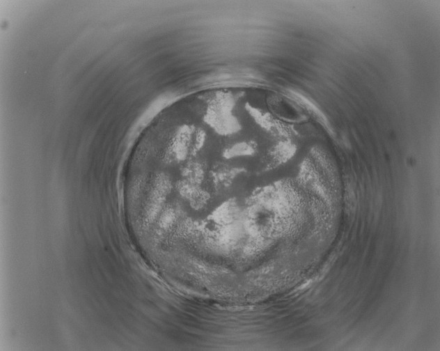 X0000076431419200610271722