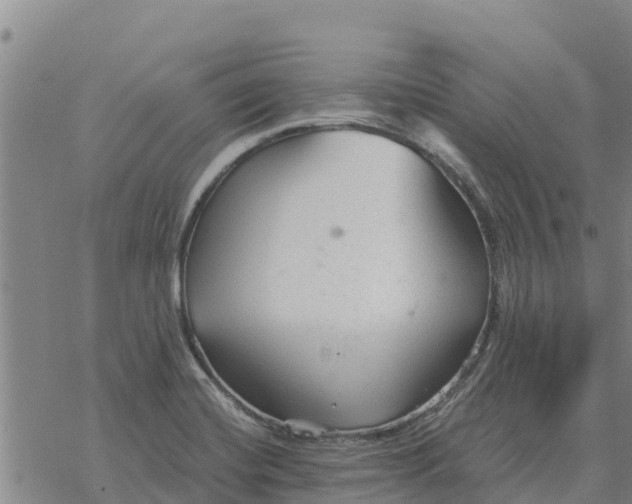 X0000076431420200610271722