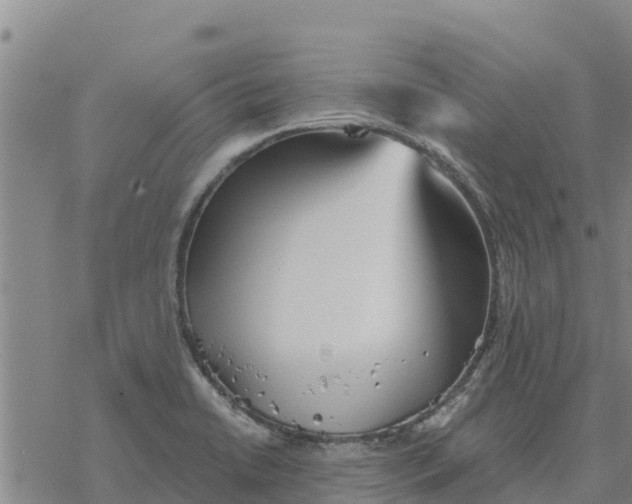 X0000076431422200610271722