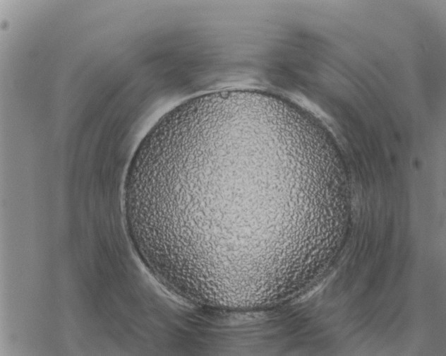 X0000076431423200610271722