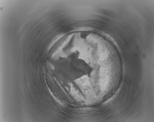 X0000076431425200610271722