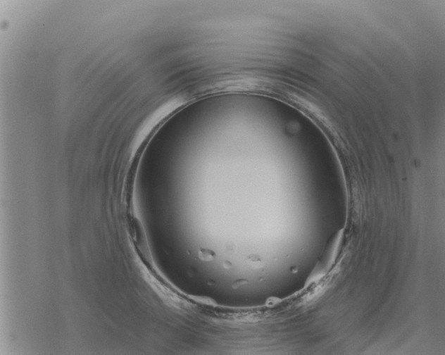 X0000076431426200610271722