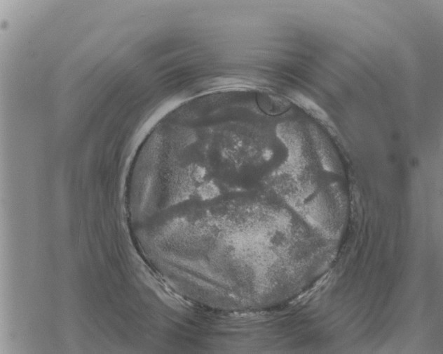 X0000076431427200610271722