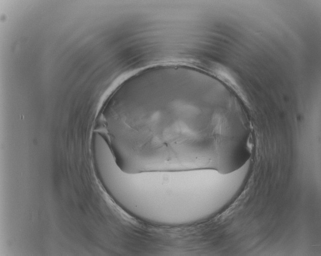 X0000076431428200610271722