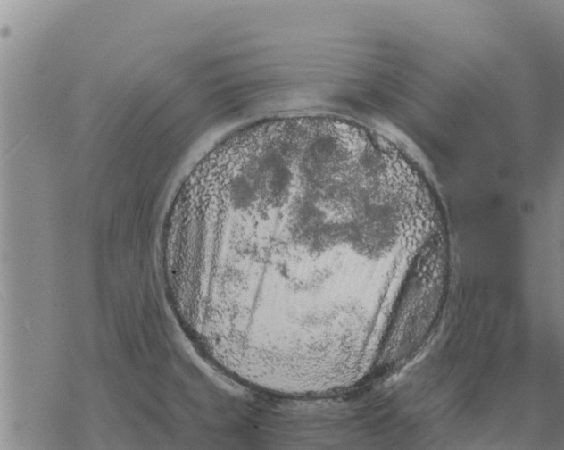 X0000076431429200610271722