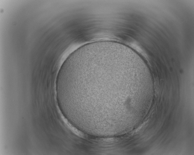 X0000076431431200610271722