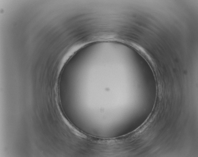 X0000076431432200610271722