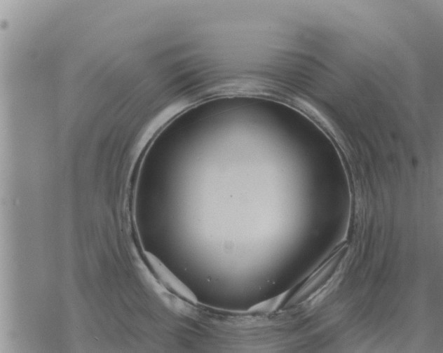 X0000076431434200610271722