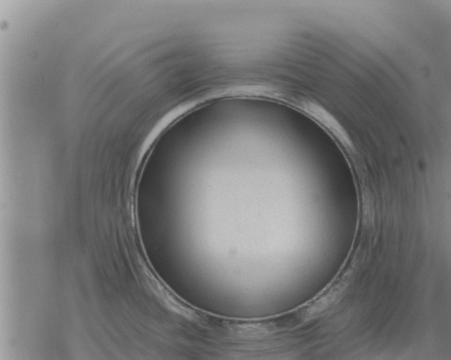 X0000076431436200610271722