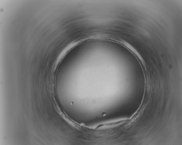 X0000076431437200610271722