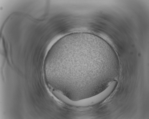 X0000076431440200610271722