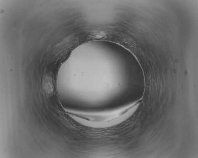 X0000076431442200610271721