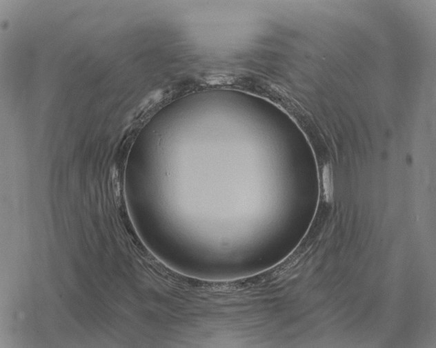 X0000076431443200610271721