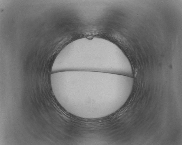 X0000076431444200610271721