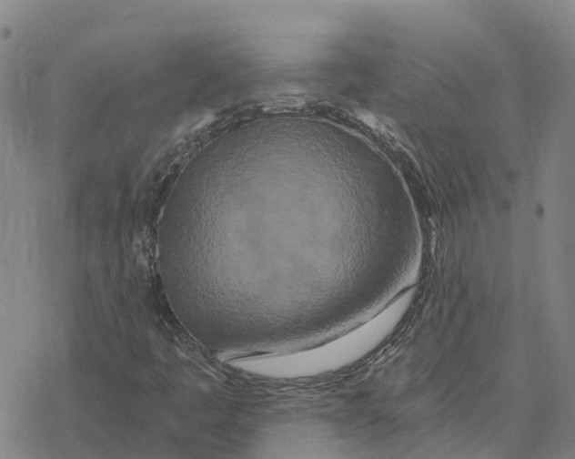 X0000076431445200610271721