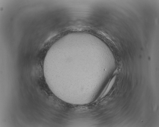 X0000076431446200610271721