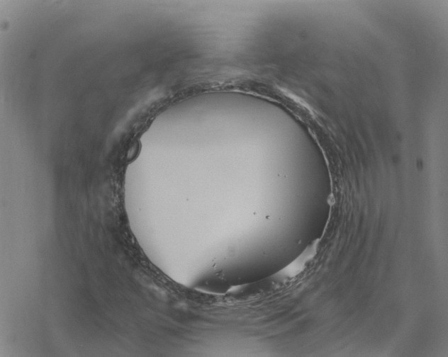 X0000076431447200610271721