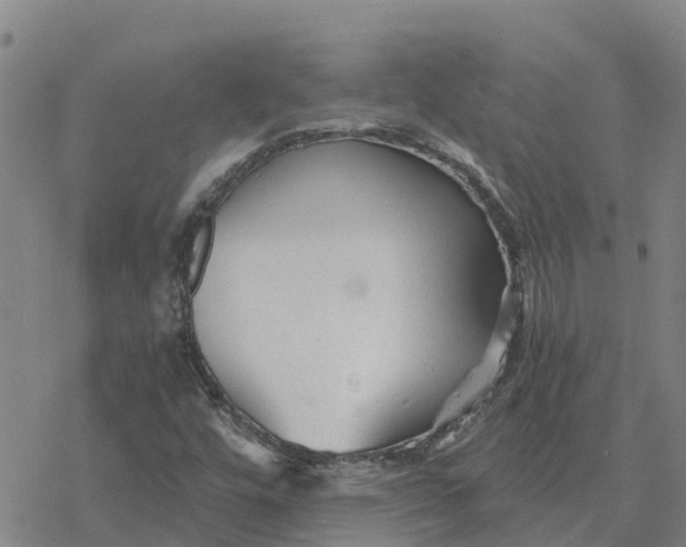 X0000076431448200610271721