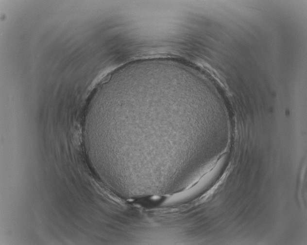 X0000076431449200610271721