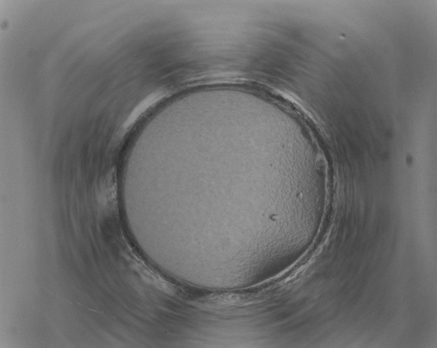 X0000076431450200610271721