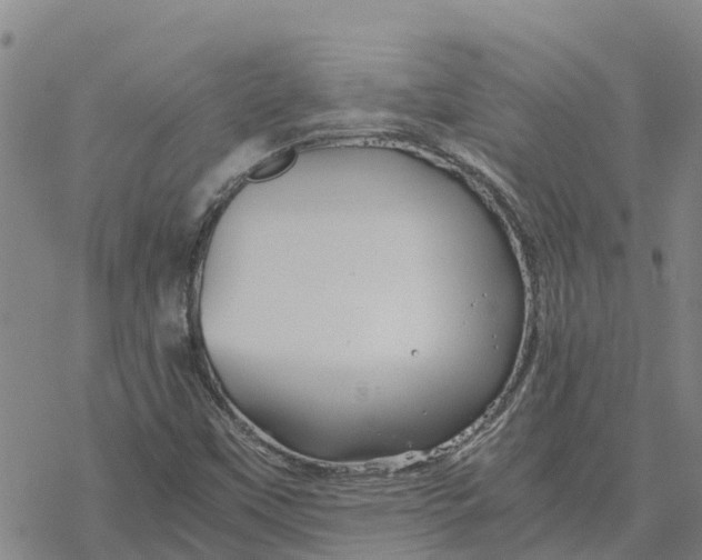 X0000076431451200610271721