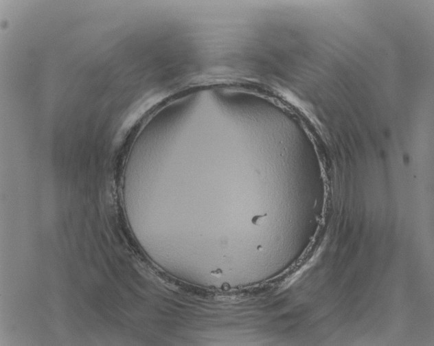 X0000076431453200610271721