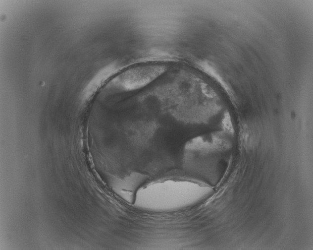 X0000076431455200610271721