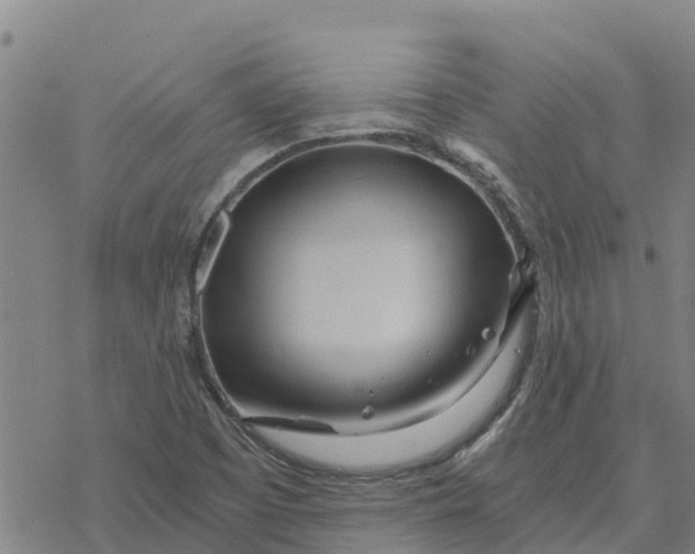 X0000076431457200610271721