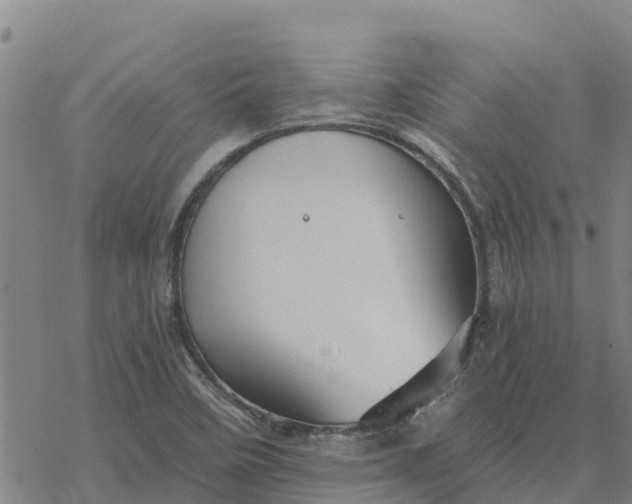 X0000076431458200610271721