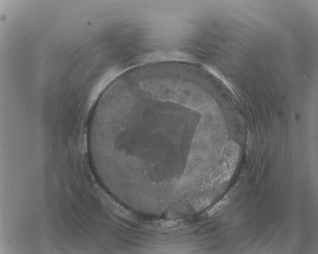 X0000076431459200610271721