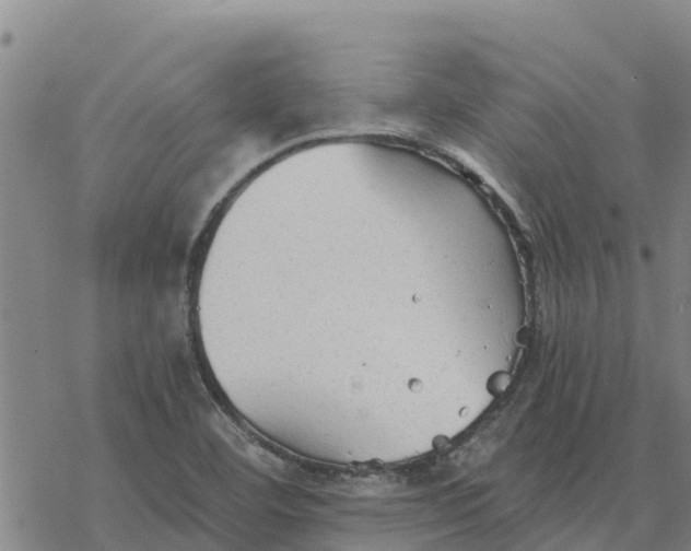 X0000076431460200610271721