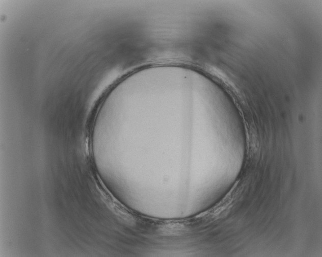 X0000076431462200610271721