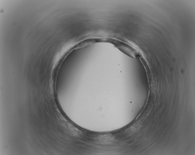 X0000076431464200610271721