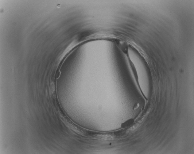 X0000076431465200610271721