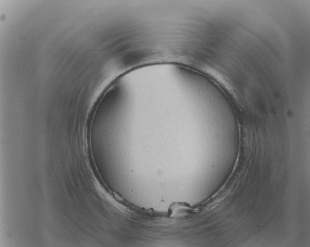 X0000076431468200610271721