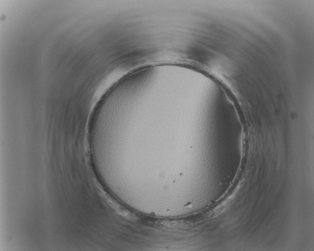 X0000076431469200610271721