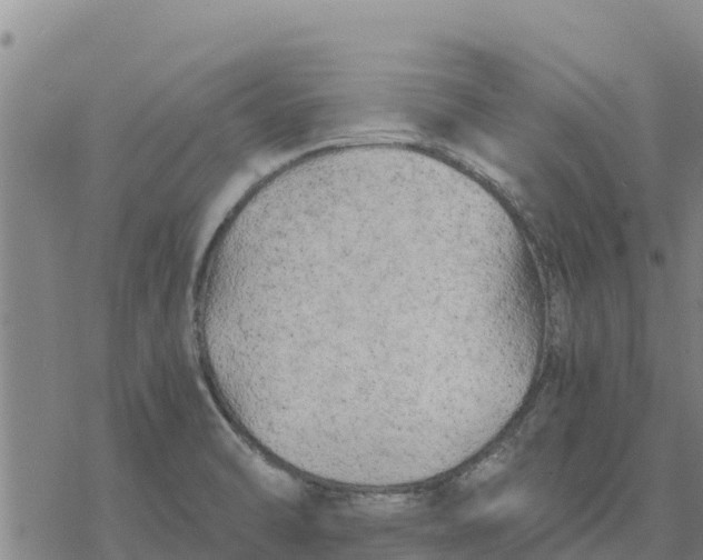 X0000076431470200610271721