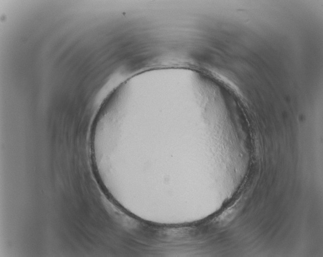 X0000076431471200610271721