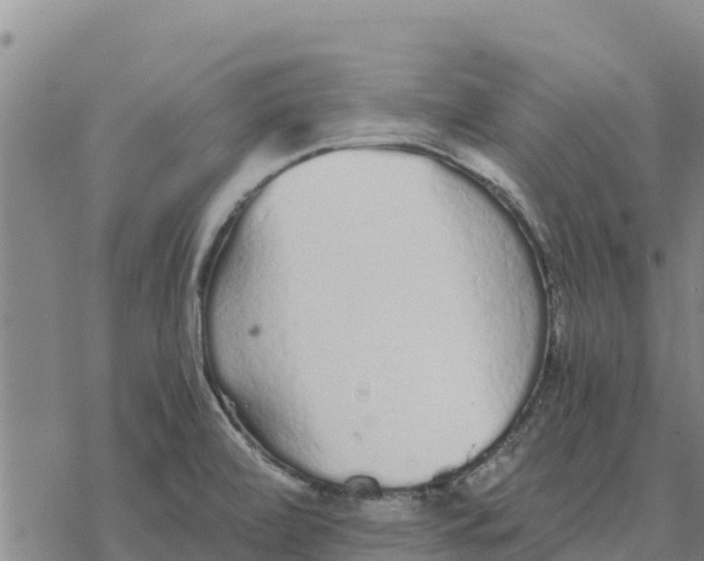 X0000076431472200610271721