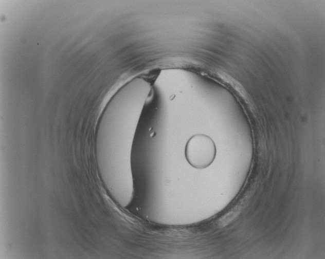 X0000076431473200610271721