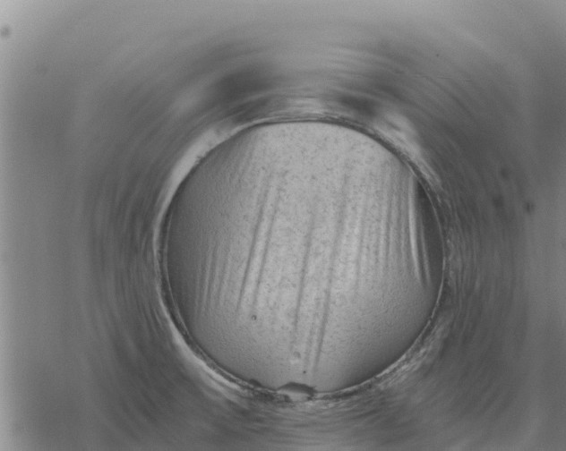 X0000076431475200610271721