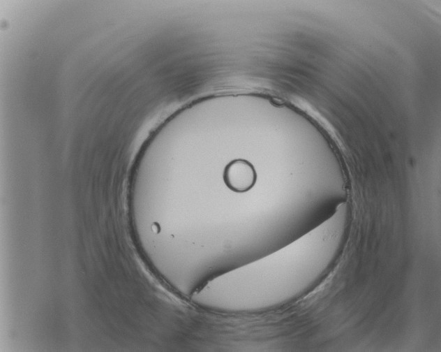 X0000076431477200610271721