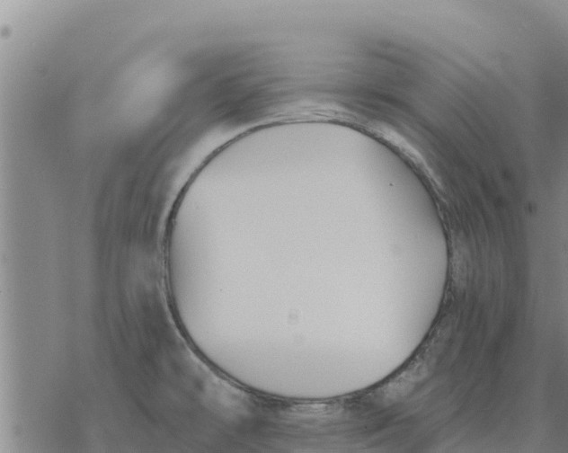 X0000076431478200610271721